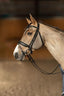 HFI edges bridle - HorseworldEU