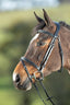 HFI functional bridle - HorseworldEU