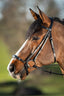 HFI German bridle - HorseworldEU