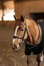 HFI wavy bridle - HorseworldEU