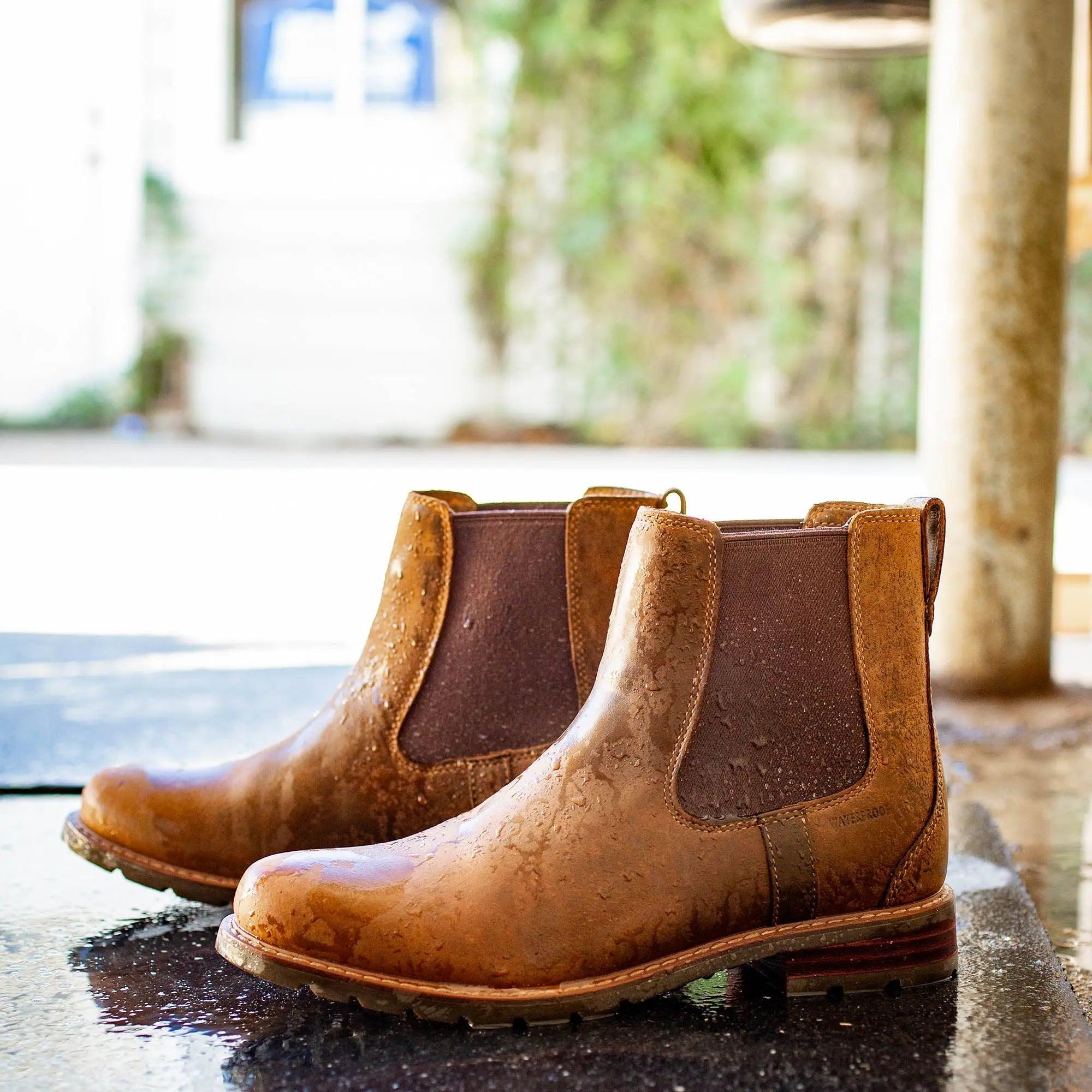 Ariat wexford waterproof boot gentlemen www.horseworldEU HorseworldEU