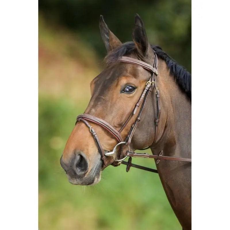 BRIDLES - www.horseworldeu.com