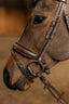 HFI edges bridle - HorseworldEU