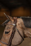 HFI pro bridle Milano - HorseworldEU