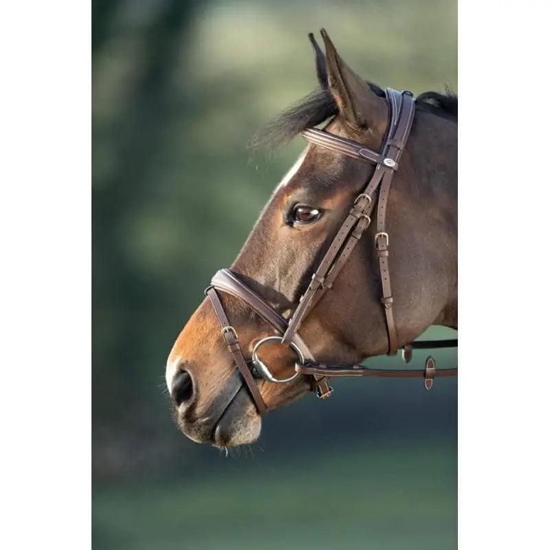 BRIDLES - www.horseworldeu.com