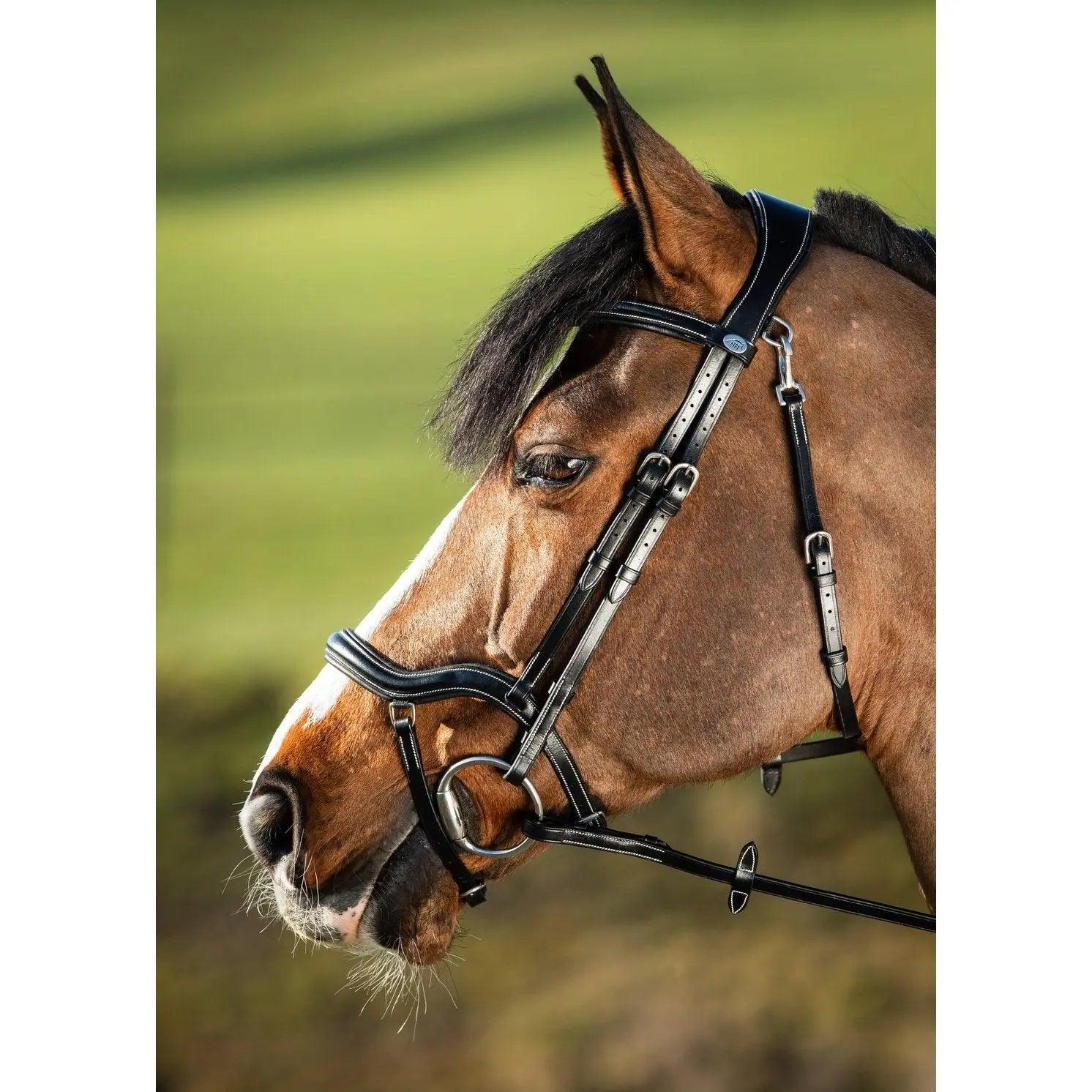 BRIDLES - www.horseworldeu.com