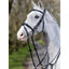 LeMieux Competition Flash bridle Lemieux