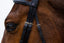 Trust Amsterdam Combined noseband bridle anatomic - HorseworldEU